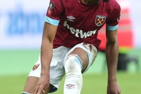 开云体育网站-21个小黄人心理测试