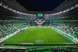 开云体育在线入口-广州登革热病例激增